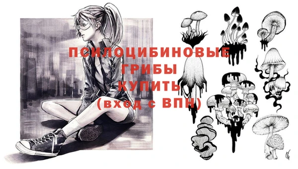 хмурый Медногорск