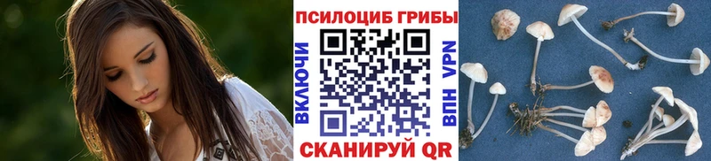 Псилоцибиновые грибы Psilocybe  Купить закладки  Тарко-Сале 